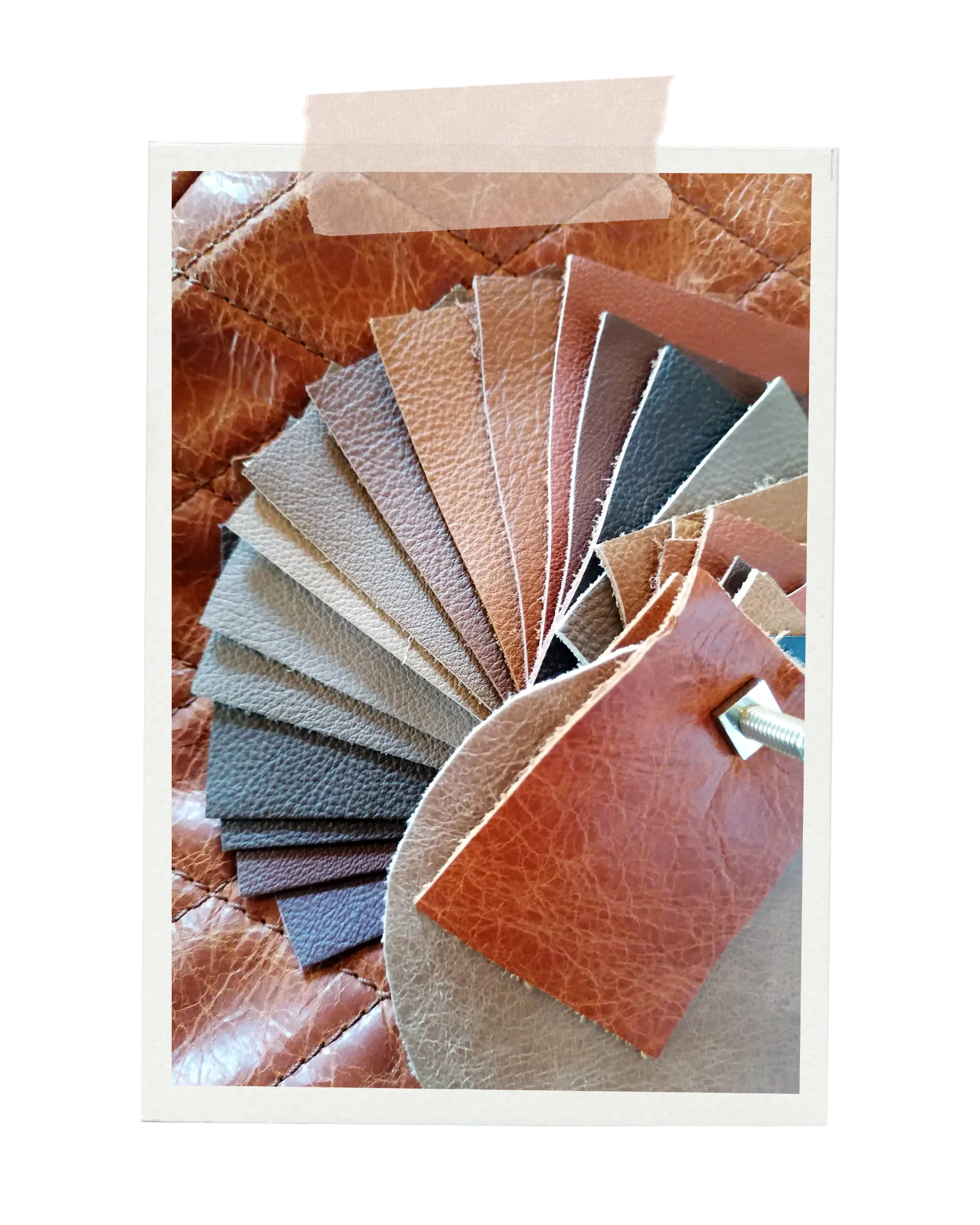 Material selection and concept development